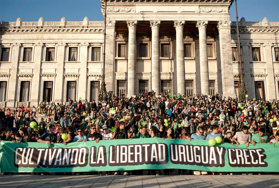 Apuntes sobre la transición de las políticas de drogas en Uruguay