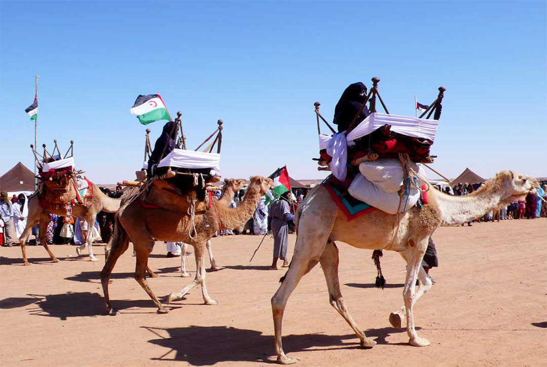 Sahara Occidental, la descolonización pendiente y la lucha por la autodeterminación