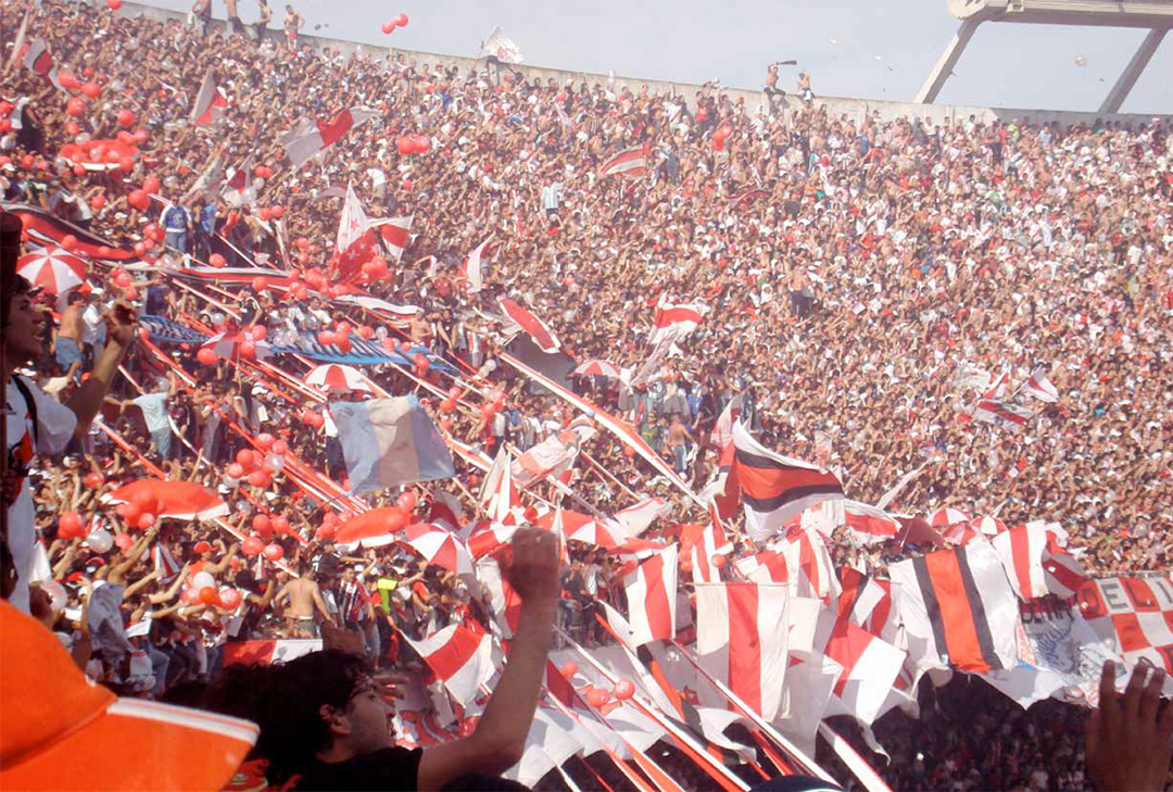 Hinchas militantes: fútbol, pasión y política en el Club Atlético River Plate